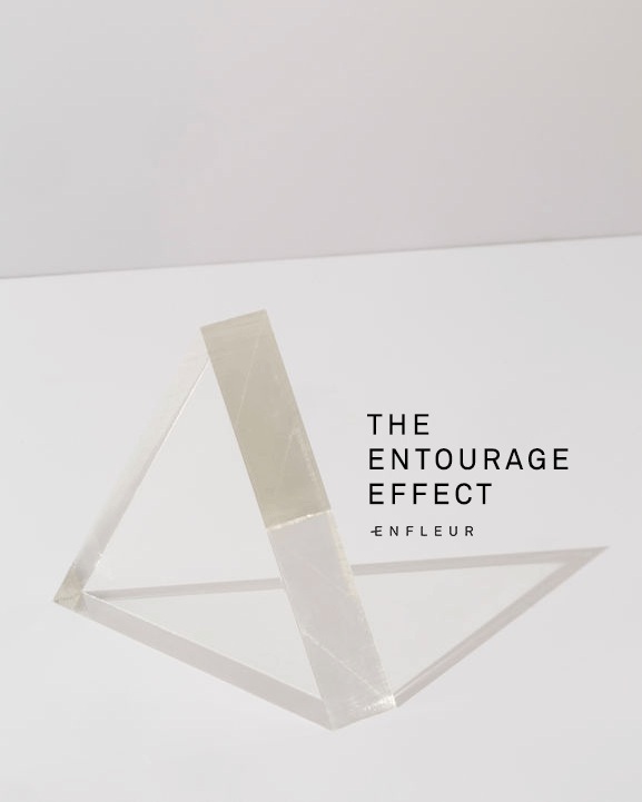 enfleur-cbd-blog-entourage-effect