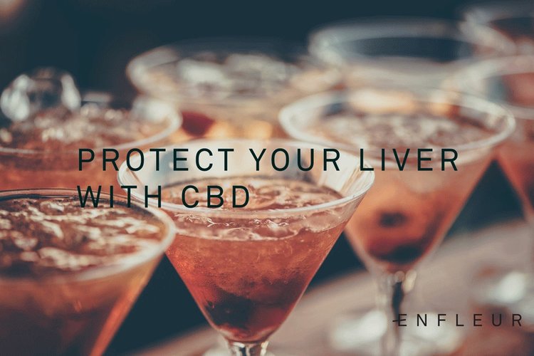 enfleur-cbd-protect-liver